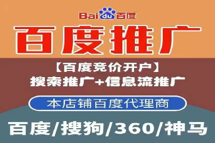 搜索引擎优化（SEO）在百度上的应用案例研究